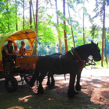 Hotel Bierbad-landhotel Garni Kummerower Hof - Weltweit Erstes Bierbad