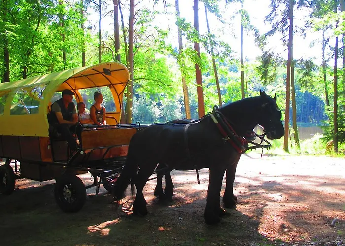 Hotel Bierbad-landhotel Garni Kummerower Hof - Weltweit Erstes Bierbad